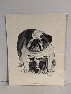Dog Print Art Print Charcoal Drawing by Gary H. Kokes 11in x 14in
